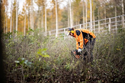 A forest worker drills holes in the forest floor for reforestation near Oschersleben