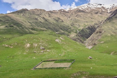 Fenced field in pasture
