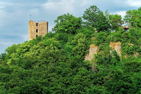 Neideck Castle Ruin