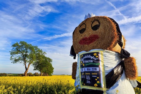 Straw puppet in a rape field