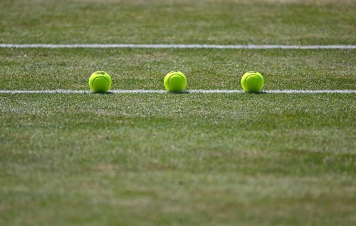 Three tennis balls lie on grass
