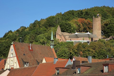 Scherenburg Ruin in Gemuenden