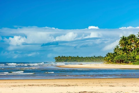 Sargi beach surrounded by coconut trees and native vegetation in Serra Grande on the south coast of Bahia