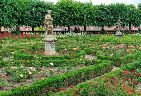 Rose Garden