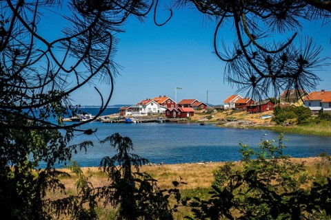 View of the settlement of Apelvik