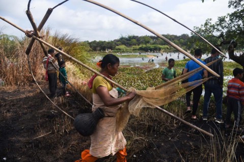 Villagers participate in a community fishing event on the occasion of Bhogali Bihu Festival at Goroimari Lake in Panbari village