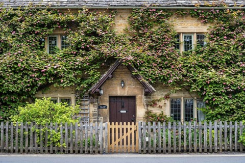 Typical yellow Cotswolds stone house with dense plant growth on the facade