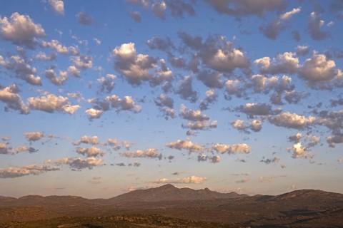 Altocumulus floccus clouds over semi-desert landscape at sunset in the Namaqua National Park