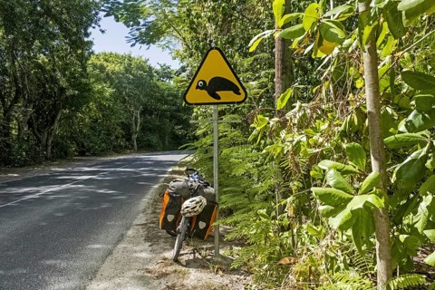 Touring bicycle and warning sign for turtles crossing the road on Basse-Terre Island
