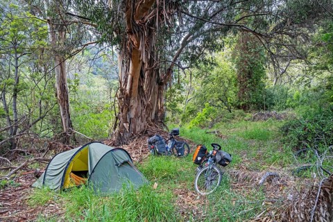 Touring cyclists wild camping with dome tent in Topanga State Park in the Santa Monica Mountains
