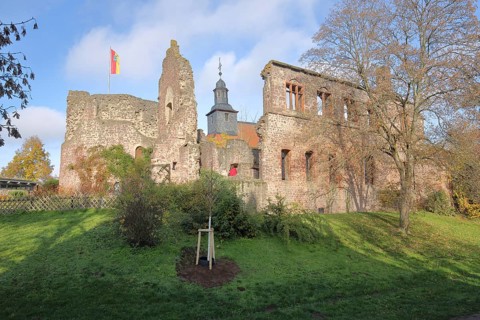 Romanesque palace of Hayn Castle and church tower