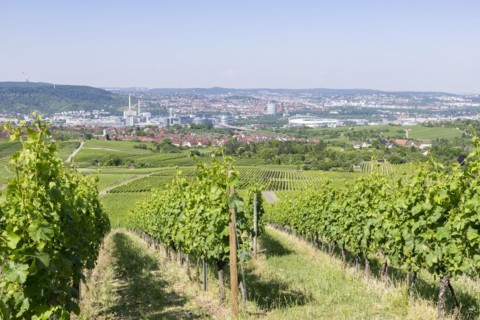 View of the city of Stuttgart with Mercedes-Benz plant Untertuerkheim