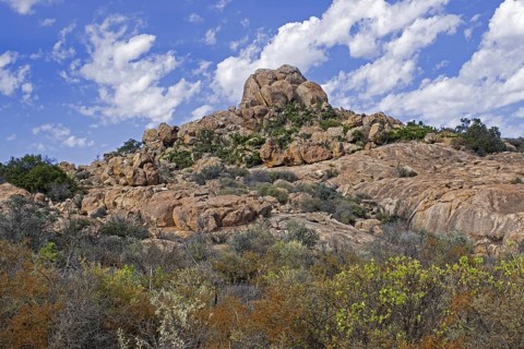 Semi-desert landscape in the Namaqua National Park