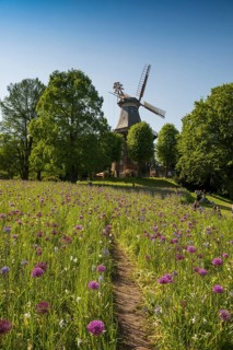 Windmill with colourful flowerbeds