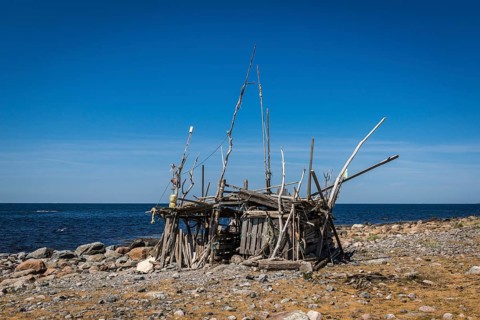 Driftwood beach hut