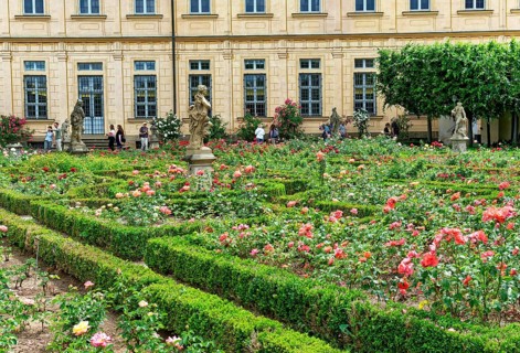 Rose Garden