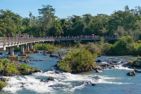 Bridge above the falls