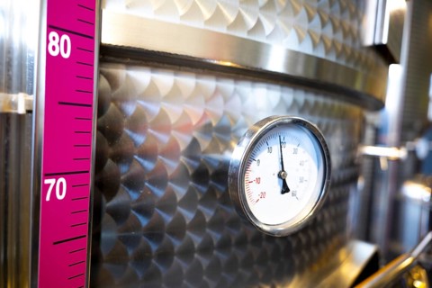 Modern Winery Stainless Steel Containers in Switzerland