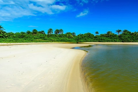 River coming out of the middle of the native vegetation and going towards the sea over the sand at Sargi beach in Serra Grande