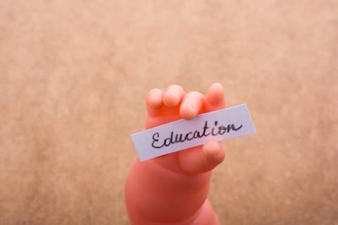 Back to school theme with education title