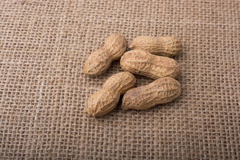 Peanuts with shell on linen canvas background