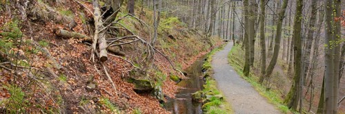 Path through the Radau Valley