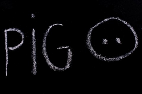 Pig sign drawn on the blackboard with chalk