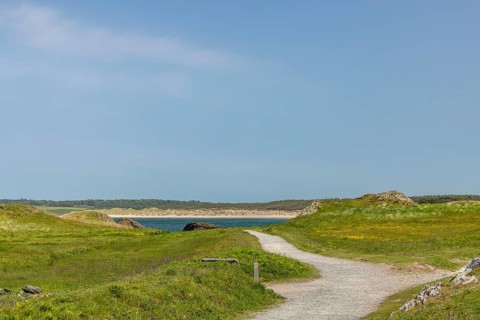 Beach and coast