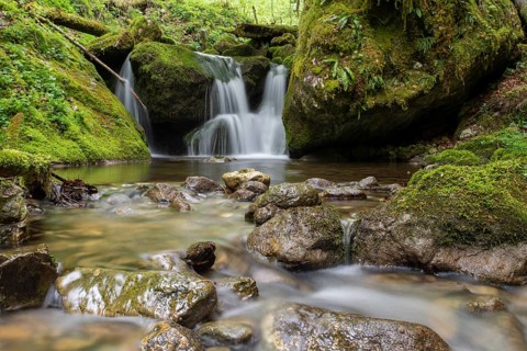 Waterfall in the UNESCO World Heritage Beech Forest in the Limestone Alps National Park