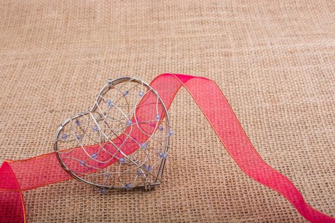 Band and Heart shaped cage on linen canvas
