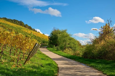 Path