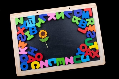 Fake flower and colorful Letters of Alphabet made of wood