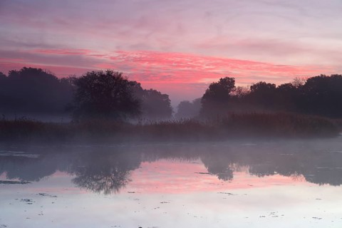 Autumn in the floodplain