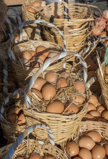 Organic fresh farm eggs in the straw basket