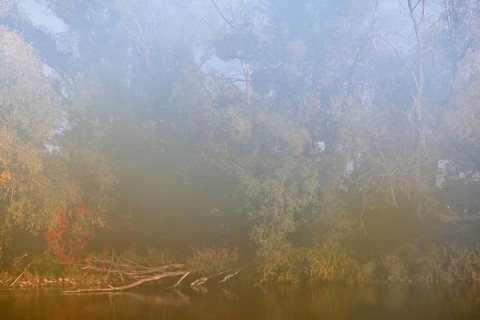Autumn in the floodplain