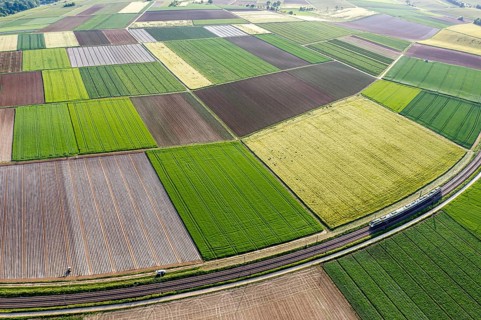 Landscape at the Neckar loop