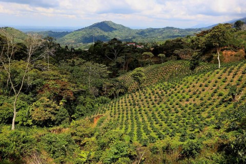 Republic of Colombia