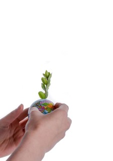 Hand holding a tree seedling on globe in hand on white background