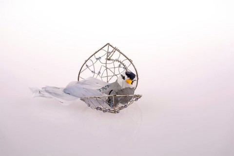 Bird in a birdcage