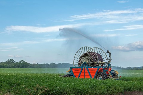 Field irrigation