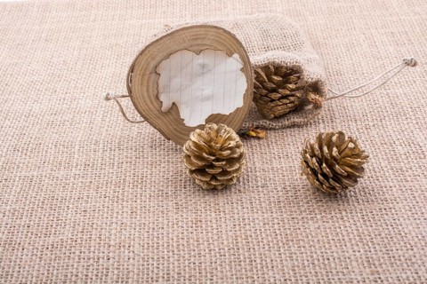 Pine cones out of sack and burnt paperon canvas