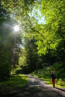 Hikers climbing from Bayrischzell to Sudelfeld