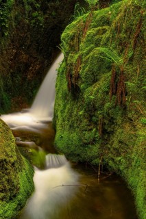 Edelfrauengrab waterfall of the Gottschlag stream in the Black Forest National Park near Ottenhoefen