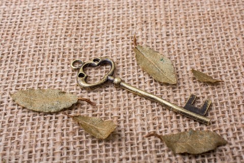 Plenty of Retro styled golden color keys