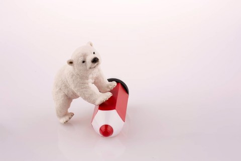 Polar bear on a red pen