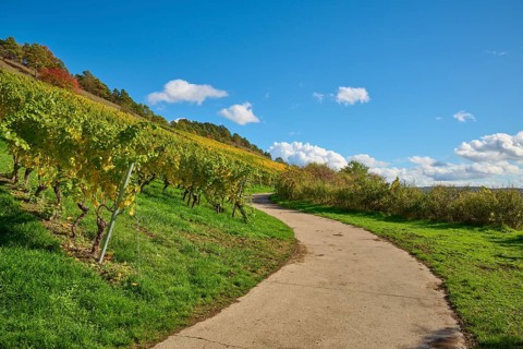 Path