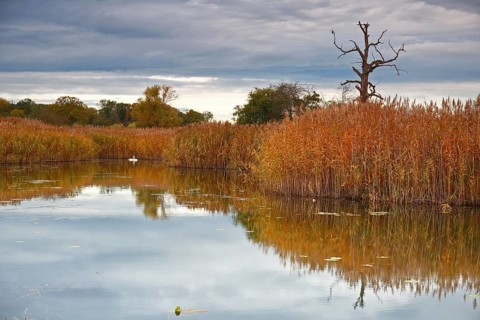 Autumn in the floodplain