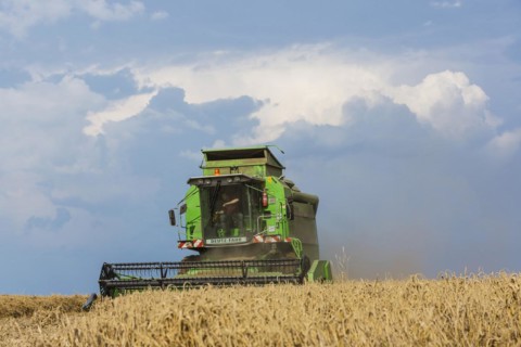 Grain harvest in the Schwaebische Alb