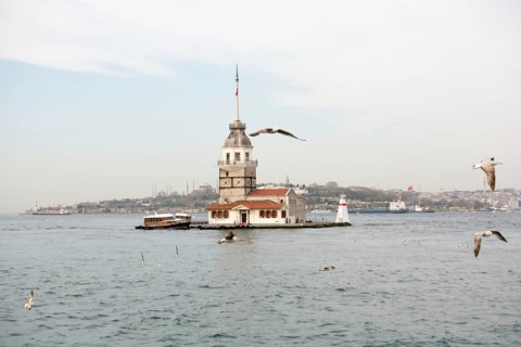 Maiden's Tower located in the Bosphorus surrounded by Seagulls