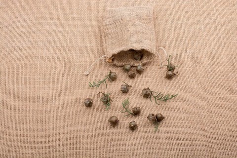 Plant pods